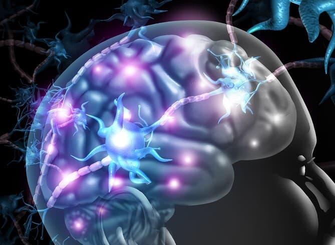 Close up of human brain