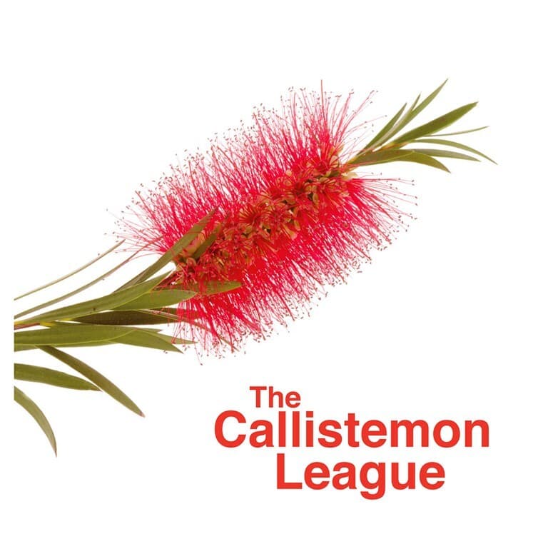 a picture of bottlebrush and text 'The Callistemon League'