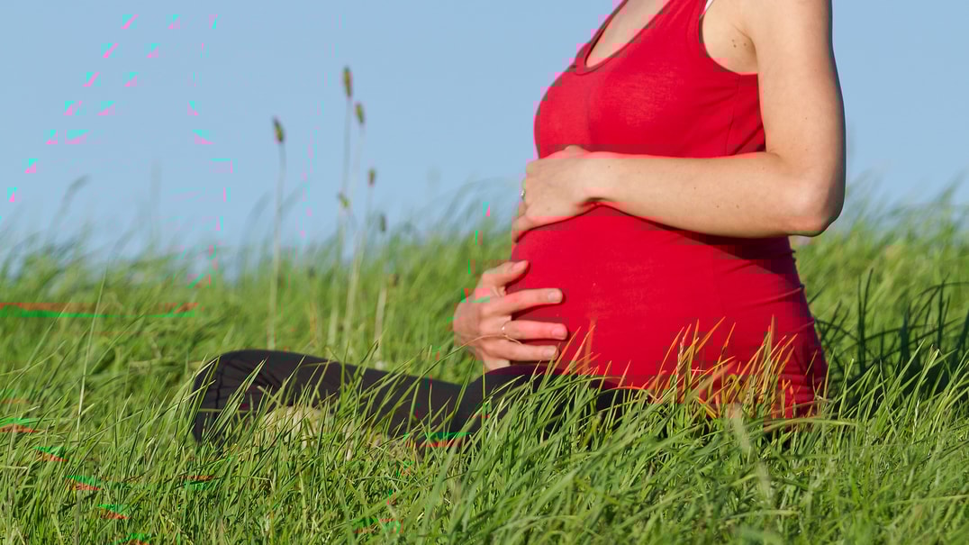 Bigstock beautiful pregnant woman pract 27153584