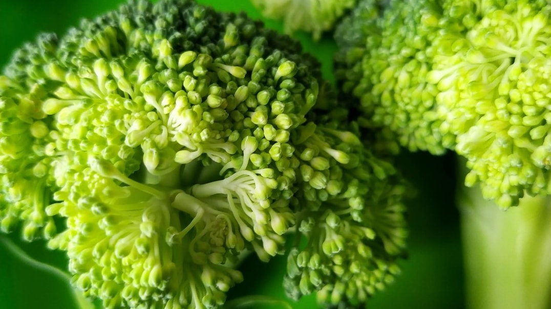 Close up of broccoli